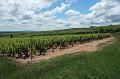2010-06- (147)